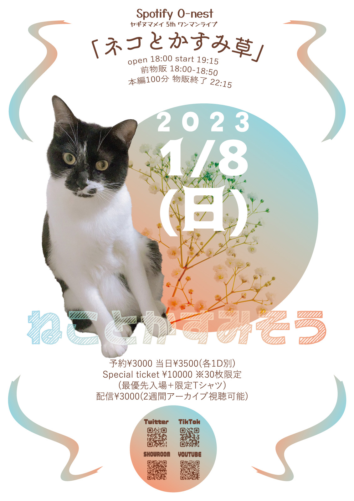 ヤギヌマメイ 4th ワンマンライブ 「ネコとかすみ草」