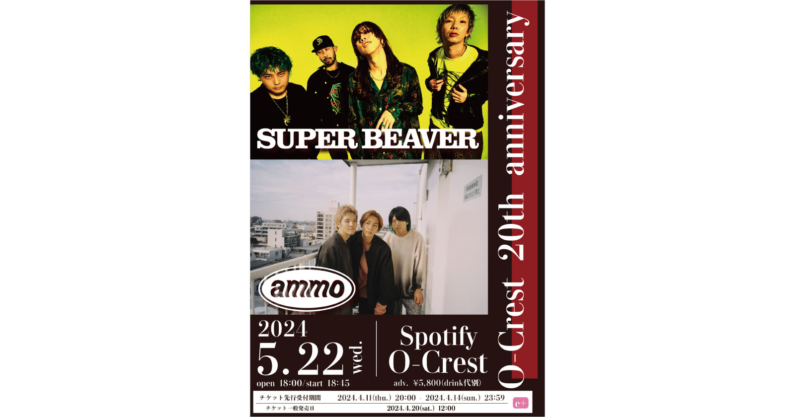 SUPER BEAVER ammo_24/5/22