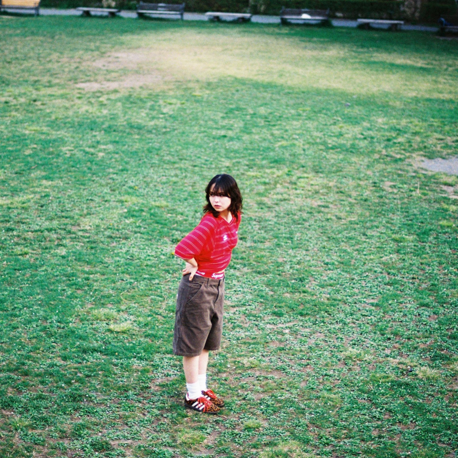 Daizy LIVE 2026 “Hollowness”