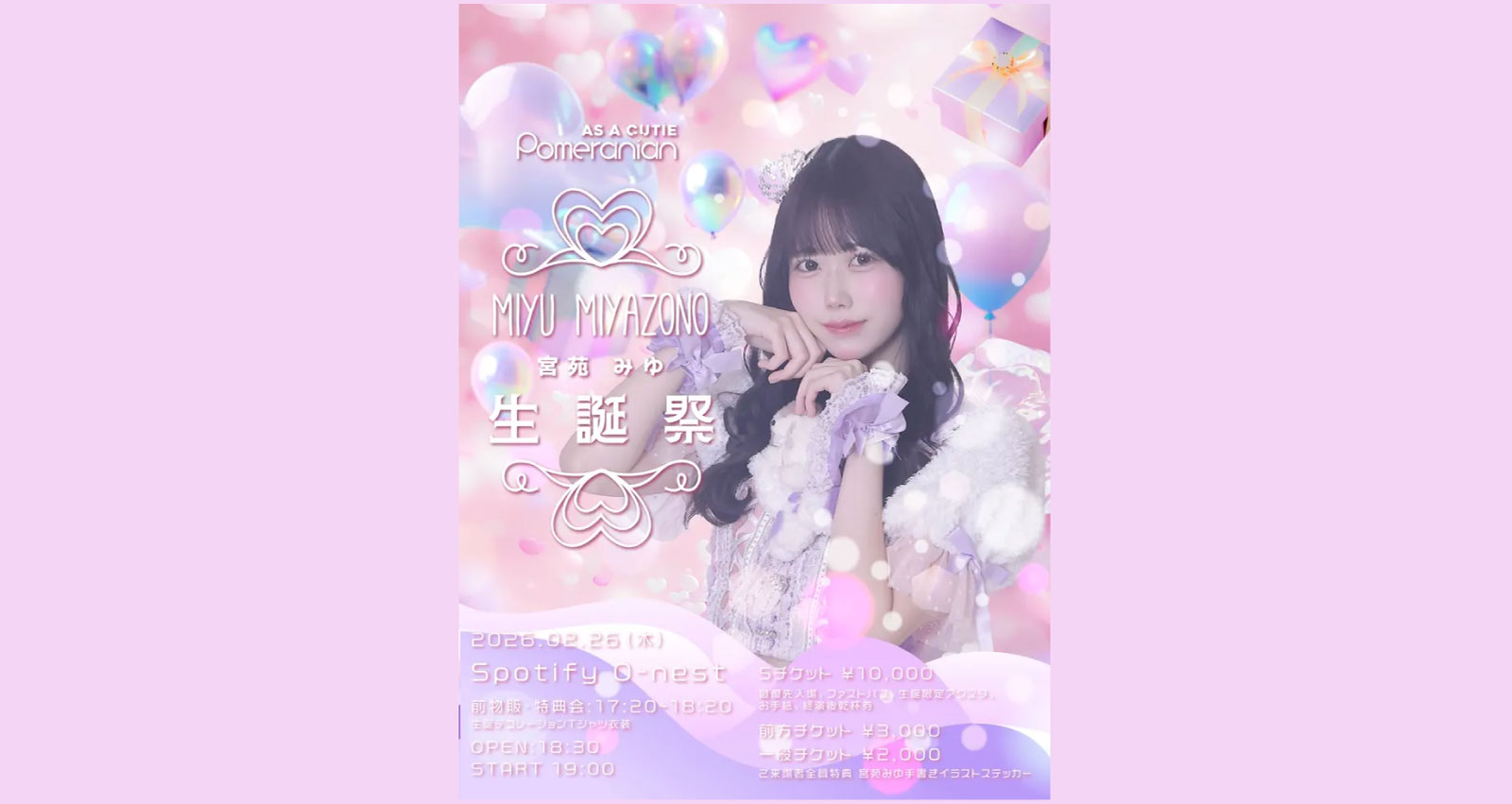 As a Cutie Pomeranian