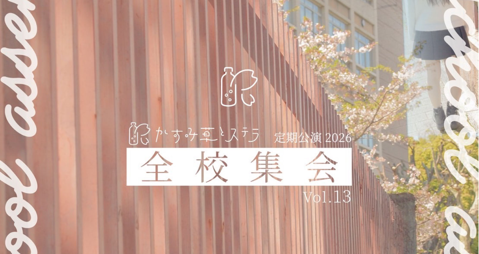 かすみ草とステラ定期公演
