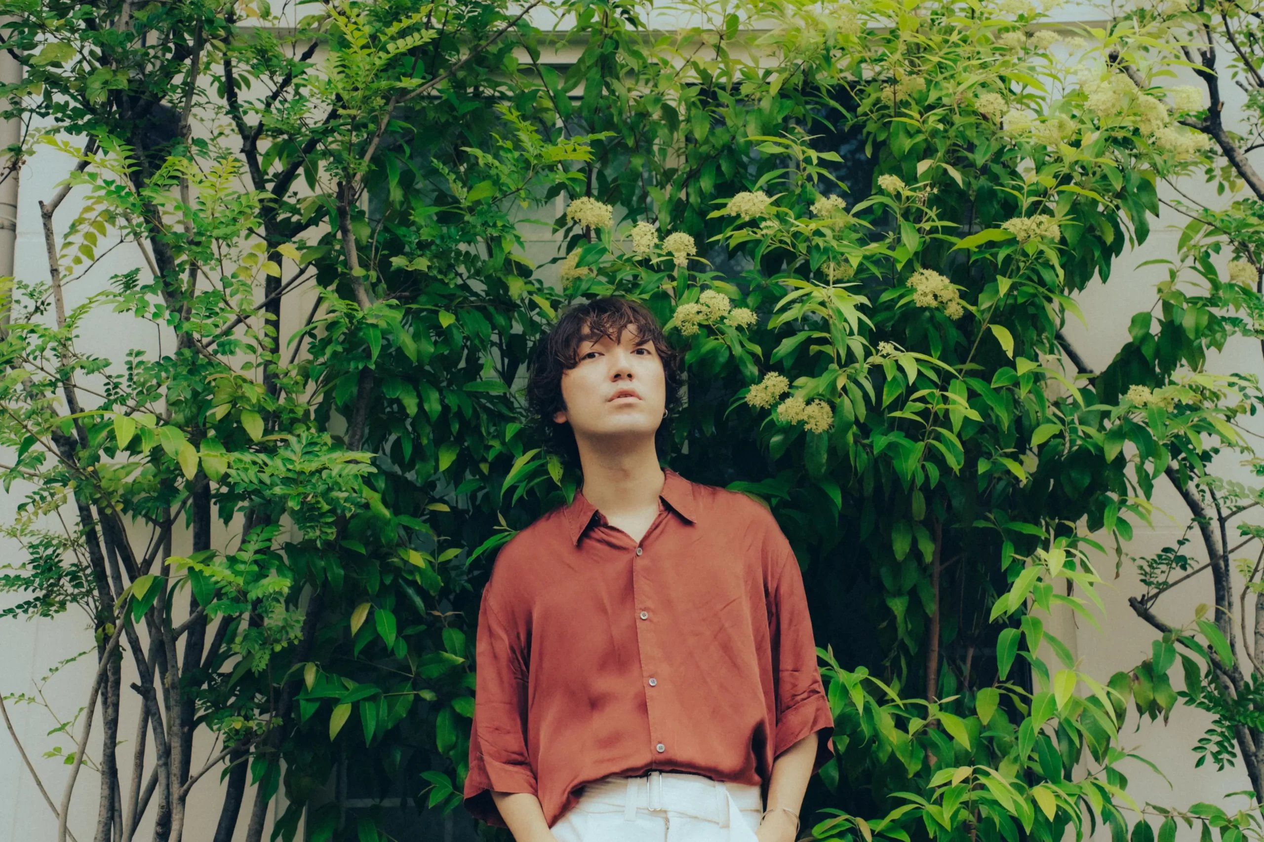 橋本薫